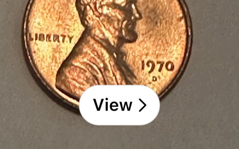 1970 Penny Coin Value (Errors List, “D”, “S” & No Mint Mark Worth)