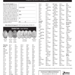 1975 Penny Coin Value (Errors List, D, S & No Mint Mark Worth)